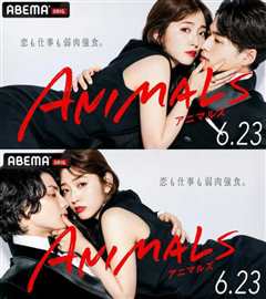 ANIMALS‐アニマルズ‐