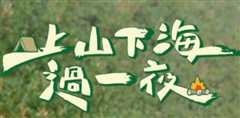 上山下海过一夜