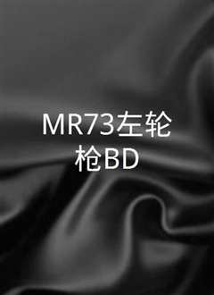 MR 73左轮枪