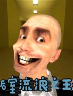 大锤之我在后室流浪