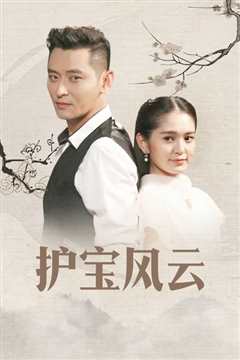 护宝风云