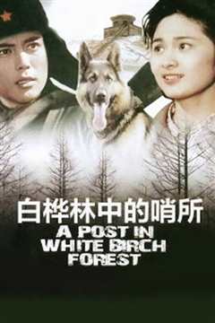 白桦林中的哨所