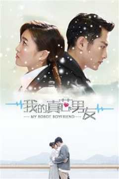 我的真芯男友