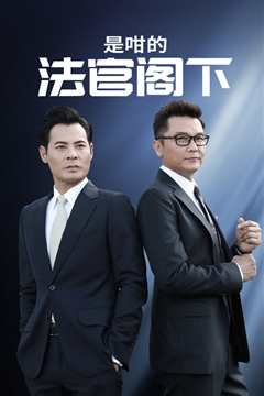 是咁的，法官阁下