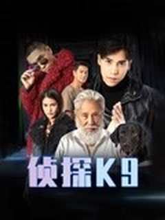 侦探K9