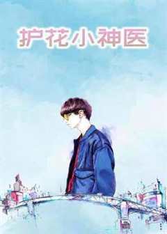 护花小神医