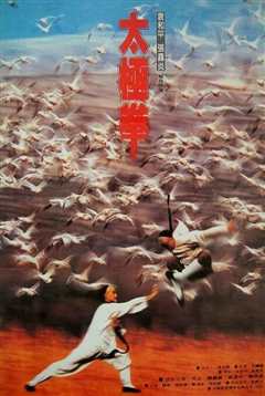 功夫小子闯情关