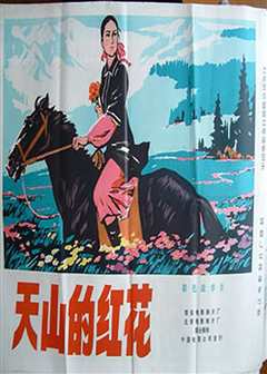 天山的红花