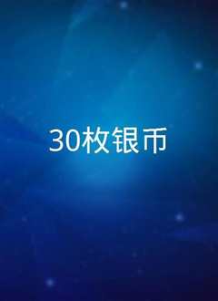 30枚硬币/30枚银币