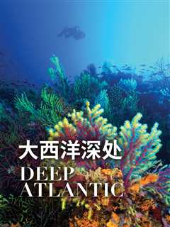 大西洋深处