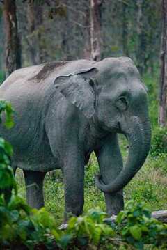 至大至恶之兽 第三季