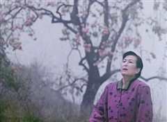 柿子坞的女人们