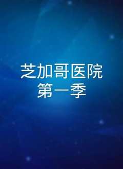 芝加哥医院 第七季