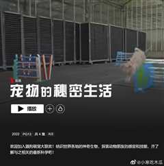 宠物的秘密生活