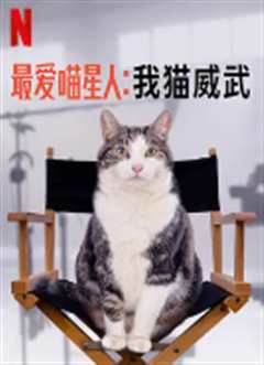 最爱喵星人：我猫威武