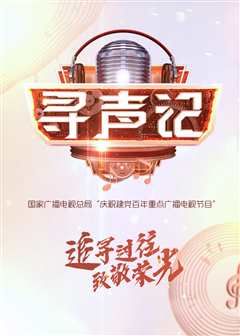 寻声记
