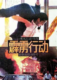 《霹雳行动》