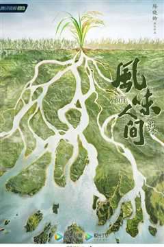 风味人间 第三季