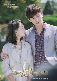 遇见爱情的利先生[D]
