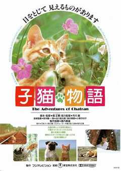 猫小帅故事