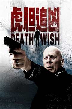 虎胆追凶（普通话版）