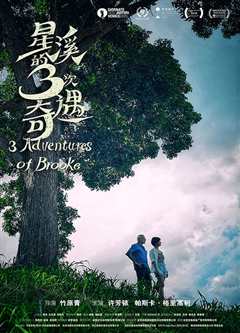 星溪的三次奇遇