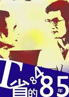 T省的84、85年