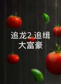 追龙2：追缉大富豪