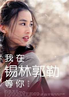 我在锡林郭勒等你