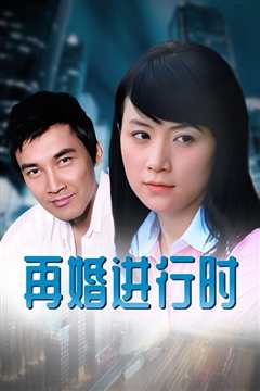 再婚进行时