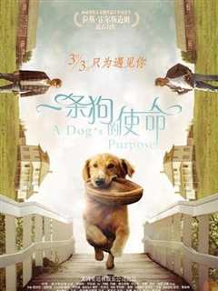 一条狗的使命[英语版]