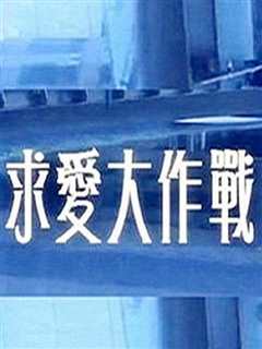 求爱大作战