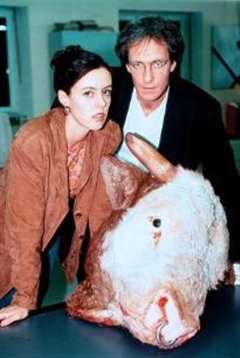 天涯追踪普通话