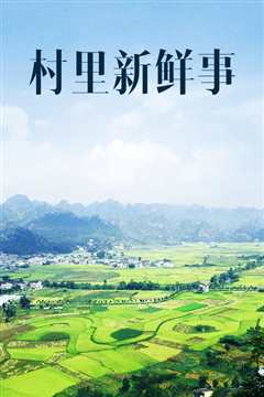 村里新鲜事