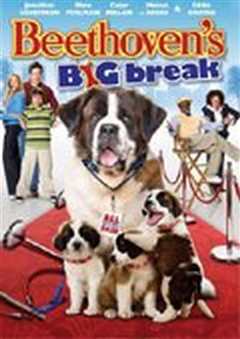 无敌当家6：明星贝多芬