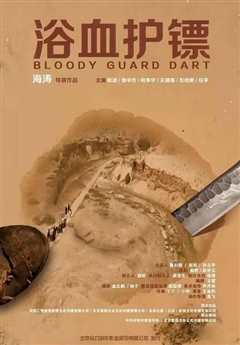 浴血护镖