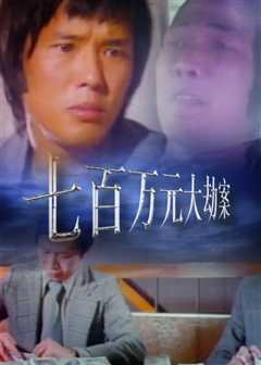 七百万大劫案