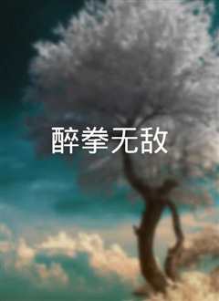 醉拳无敌