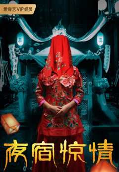 夜宿惊情