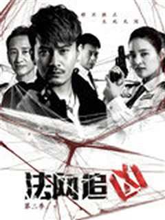 法网追凶 第二季