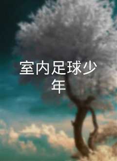 室内足球少年