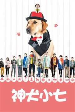 神犬小七 第一季D