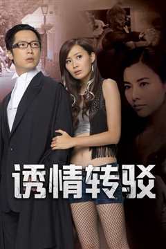 诱情转驳国语