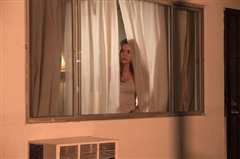 寄养家庭 第五季