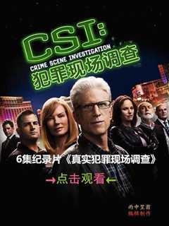 犯罪现场调查 第一季