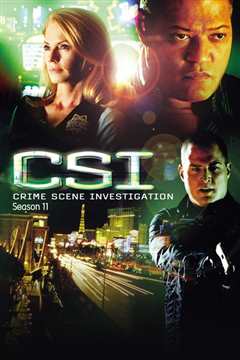 犯罪现场调查 第十一季