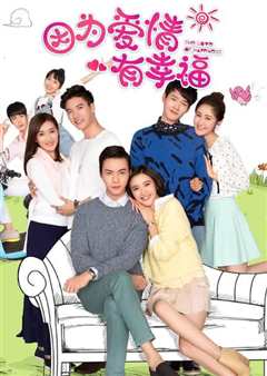 因为爱情有幸福DVD版