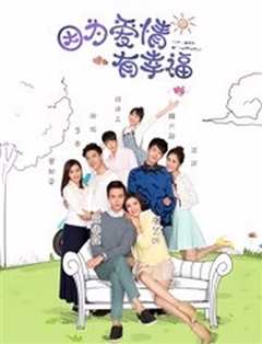 因为爱情有幸福之二DVD版