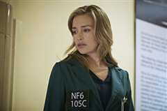 谍影迷情 第五季