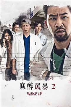 麻醉风暴2 麻醉風暴2